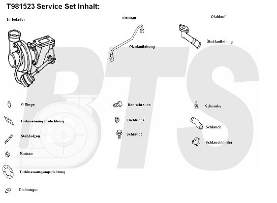 BTS TURBO Компрессор, наддув T981523